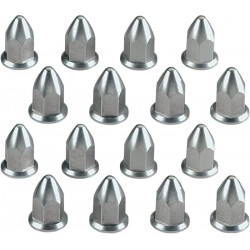 WHL LUG NUTS FLAT-POL(1