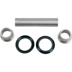 KINGPIN-KIT TRX200SX