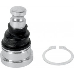 BALL JOINT LWR POL