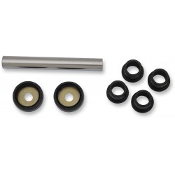 A-ARM BEARING&SEAL KT AC