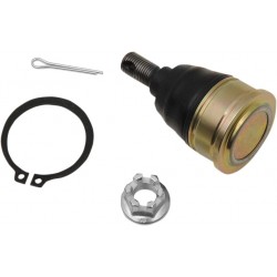 BALL JOINT LWR HON