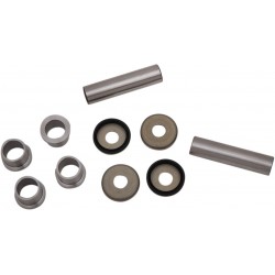 SUSPENSION RR KNUCKLE KT