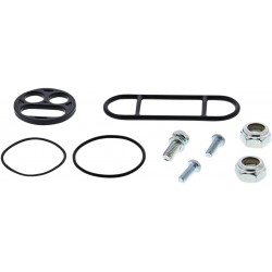 REBUILD KIT PETCOCK AC
