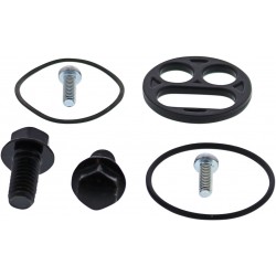 REBUILD KIT PETCOCK KAW