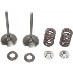 VALVE KIT IN MSE CRF450