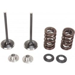 VALVE KIT IN MSE KX250F