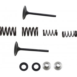 VALVE KIT IN MSE KX450F