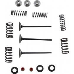 VALVE KIT IN MSE YZ250F