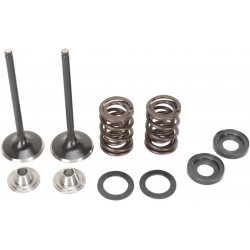 VALVE KIT IN MSE 450EXC