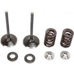 VALVE KIT IN MSE 250SXF