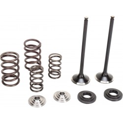 VALVE KIT EX MSE 250SXF