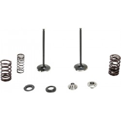 VALVE KIT IN MSE 250SX-F