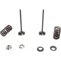 VALVE KIT EX MSE 250SX-F