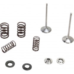VALVE KIT IN YZ250F TI