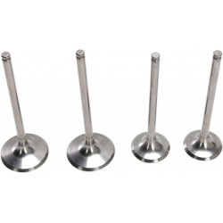 VALVE KIT MSE PRO CRF250R