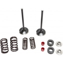 VALVE KIT IN MSE CRF250R