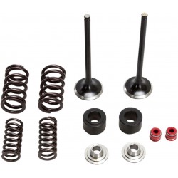 VALVE KIT EX MSE CRF250R