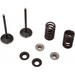 VALVE KIT IN MSE YZ 250F