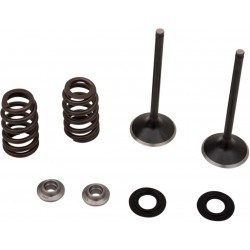 VALVE EX MSE HUS 450