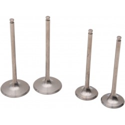 VALVE KIT MSE PRO CRF250