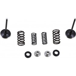 VALVE KIT IN MSE CRF250L