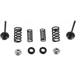 VALVE KIT EX MSE CRF250L