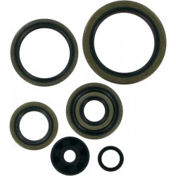 MTR SEALS-250/300SX EXC