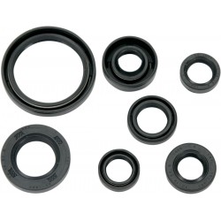 MTR SEALS YZF450