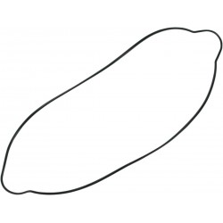 GASKET CLUTCH CVR 250-300