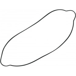 GASKET CLUTCH CVR 250F