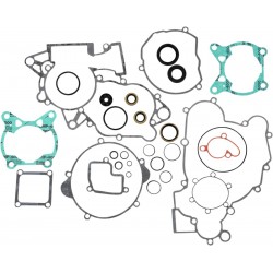 GSKT ST CMP W/OS KTM105SX