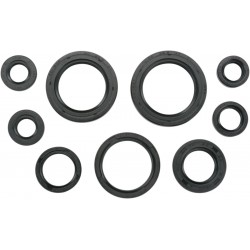 SEAL-KIT OIL-TRX450R