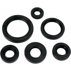 OIL SEAL SET MSE KAW