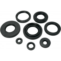 OIL SEAL SET MSE YAM