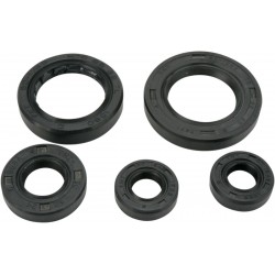 OIL SEAL SET MSE HON