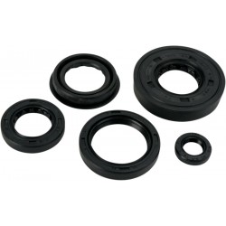 OIL SEAL SET MSE POL