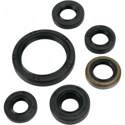 OIL SEAL SET MSE KAW
