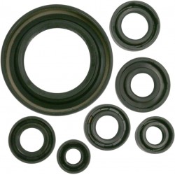 OIL SEAL SET MSE HON