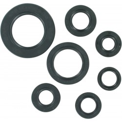 OIL SEAL SET MSE HON