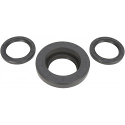 SEAL KT DIFENTIAL RR MSE