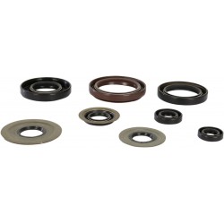 OIL SEAL SET MSE YAM