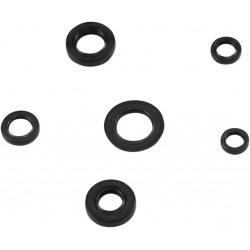 SEAL KIT ENGINE OIL HON