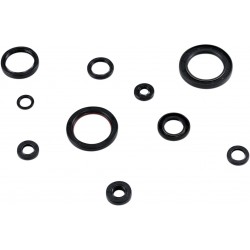 SEAL KIT ENGINE OIL HON