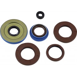 OIL SEAL SET MSE POL
