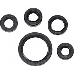 SEAL OIL SET DRZ200