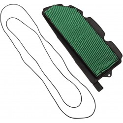 FILTER AIR PIONEER 1000