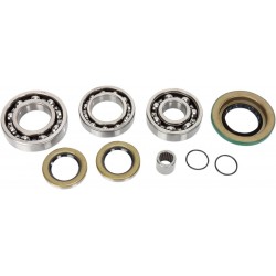 BEARING KIT DIFF RR CANAM