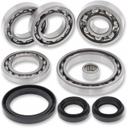 BEARING KIT DIFF RR CANAM