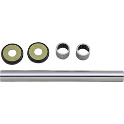BEARING SWINGARM KIT BETA