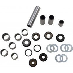 BEARING SWINGARM LNK KTM